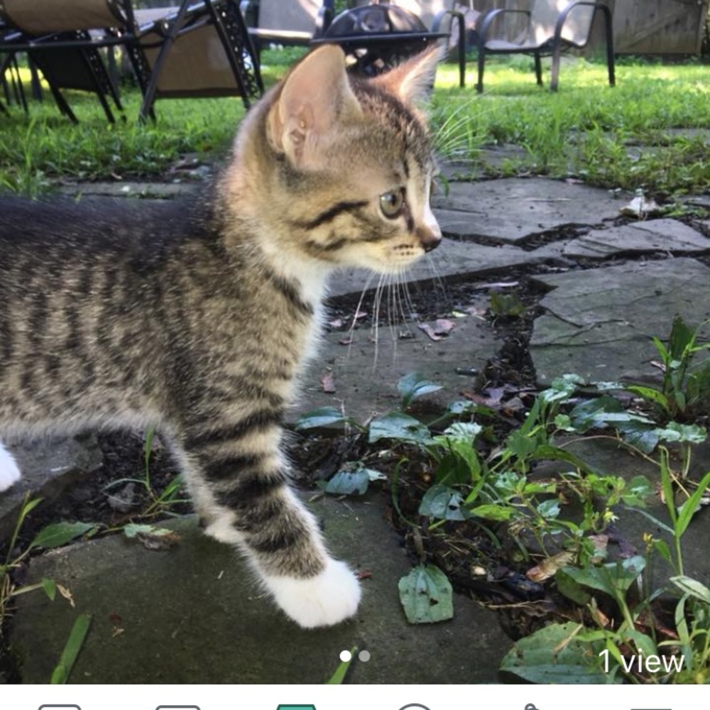 Meet your Posher, Wendy